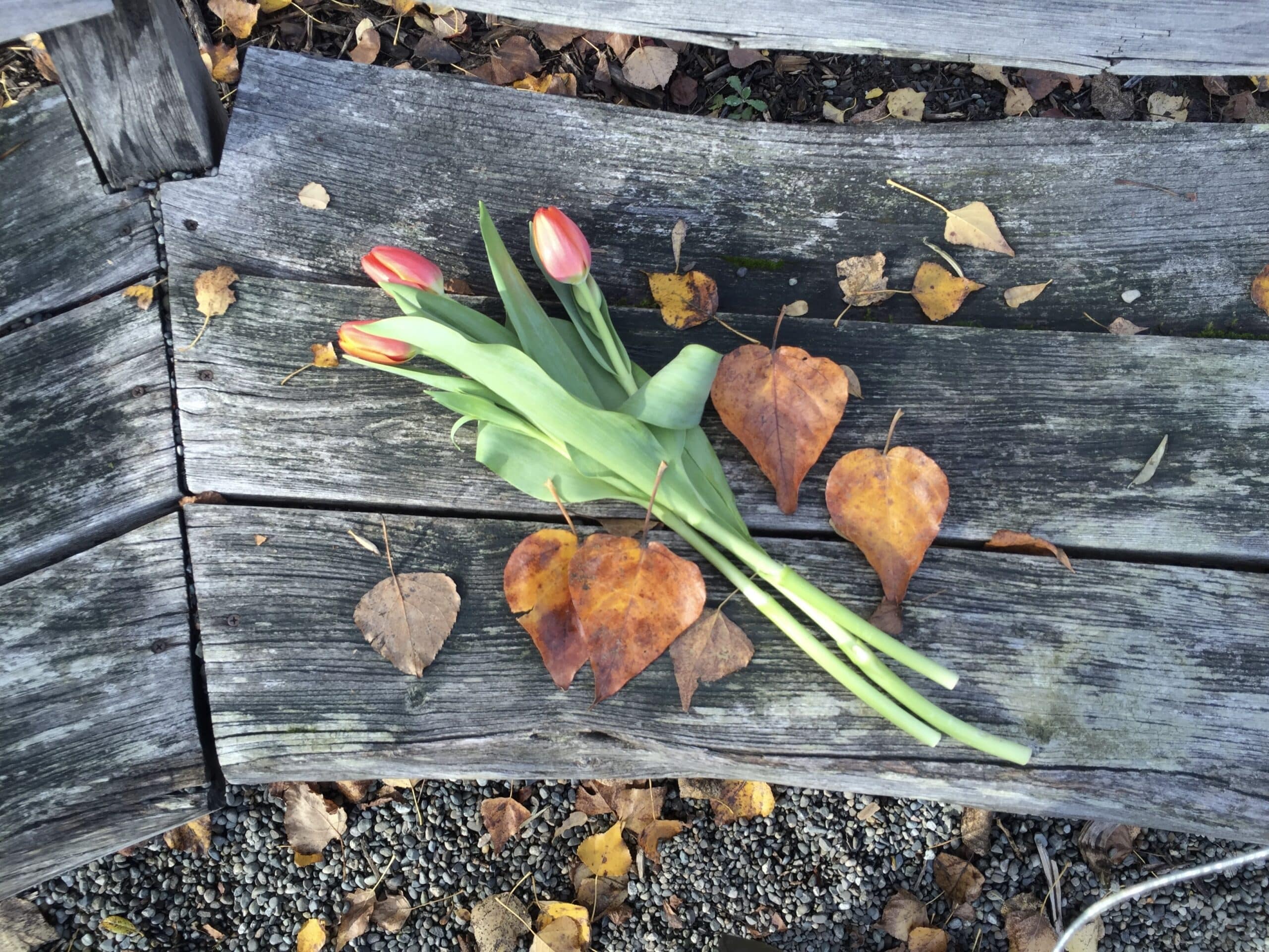 Why Am I Still Grieving After a Medically Advised Abortion? (trigger warning)